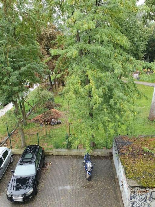 Apartment Stary Mokotow Blisko Metra Nie Ma Wynajmu Dlugoterminowego Najdluzszy To 2 Tygodnie